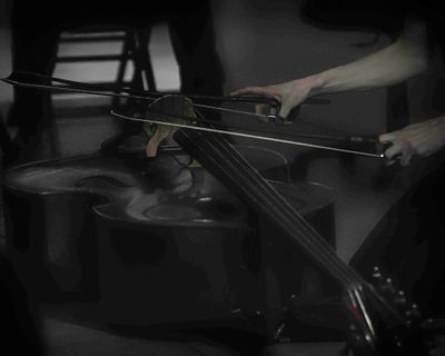 Zach Rowden bass bows
